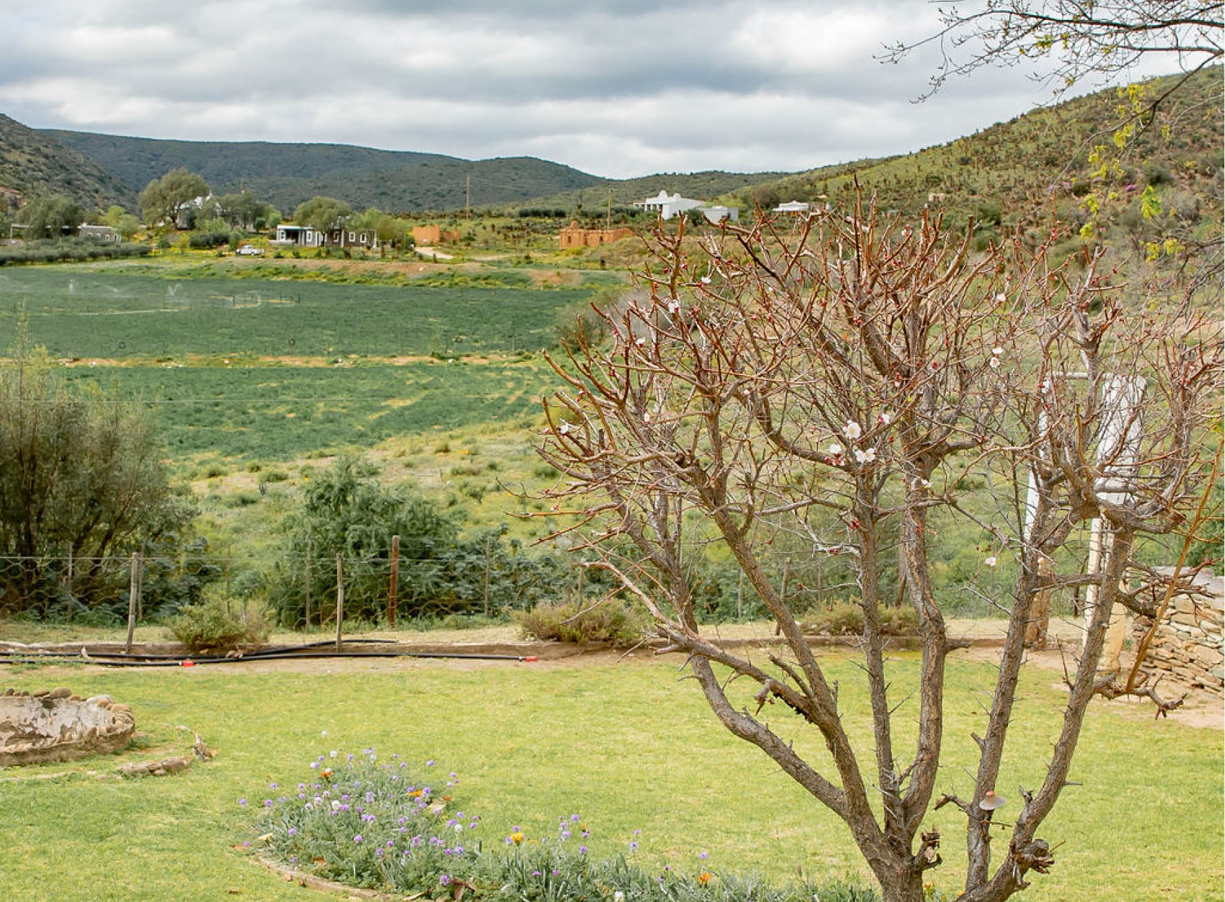 Garden at Thiart Cottage with view and tree